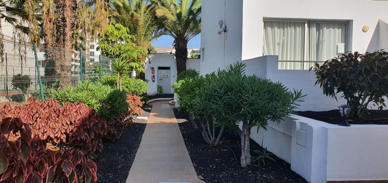 Adults Only Sunny Quiet Apartment In Center Of Las Americas อาโรนา ภายนอก รูปภาพ