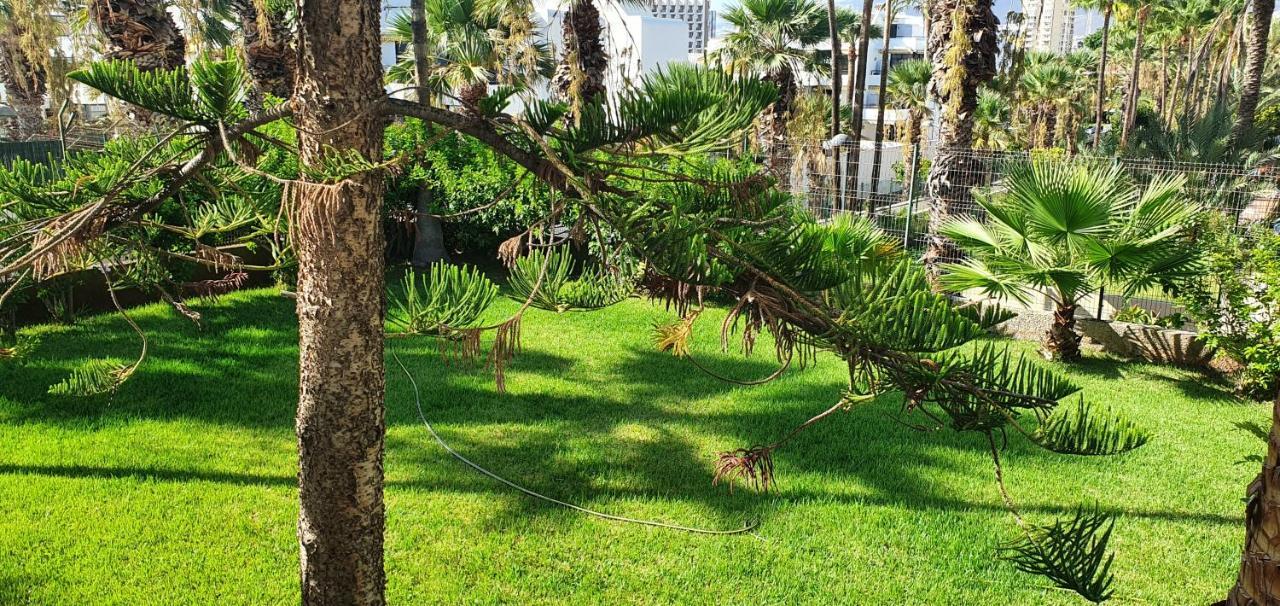 Adults Only Sunny Quiet Apartment In Center Of Las Americas อาโรนา ภายนอก รูปภาพ